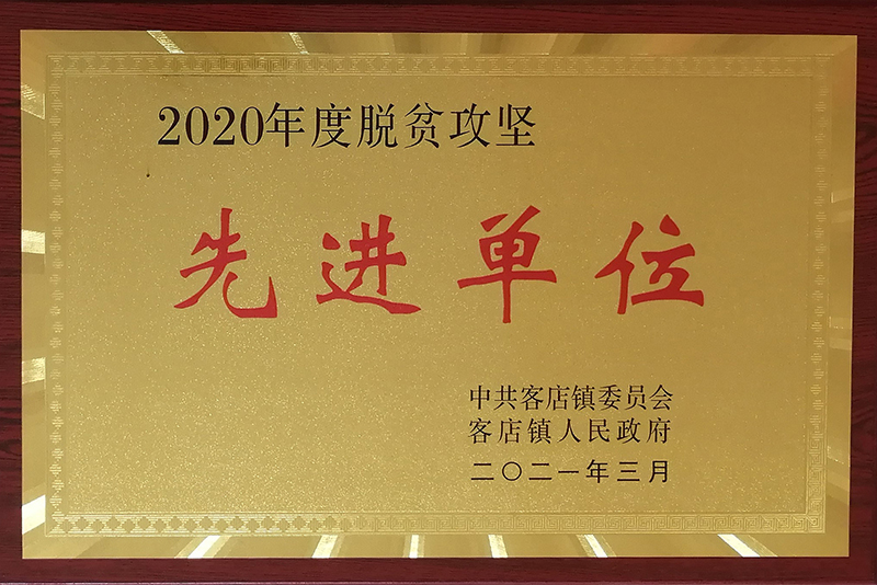 2020年度脫貧攻堅先進單位