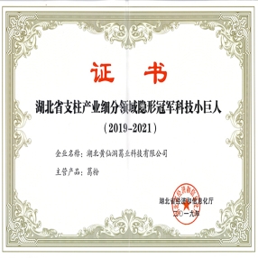 2019年湖北省隱形冠軍科技小巨人