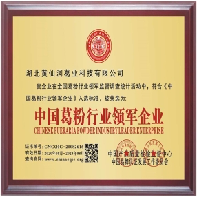 黃仙洞葛粉領(lǐng)軍企業(yè)